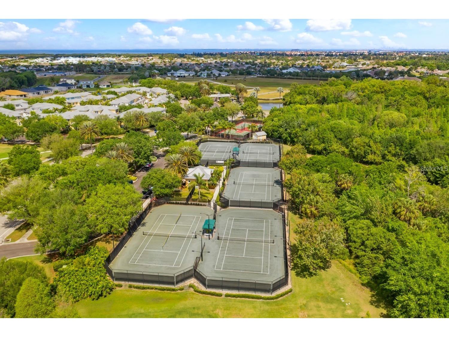 219 Sunset Crest Court Apollo Beach FL 33572 TB8470580 image68