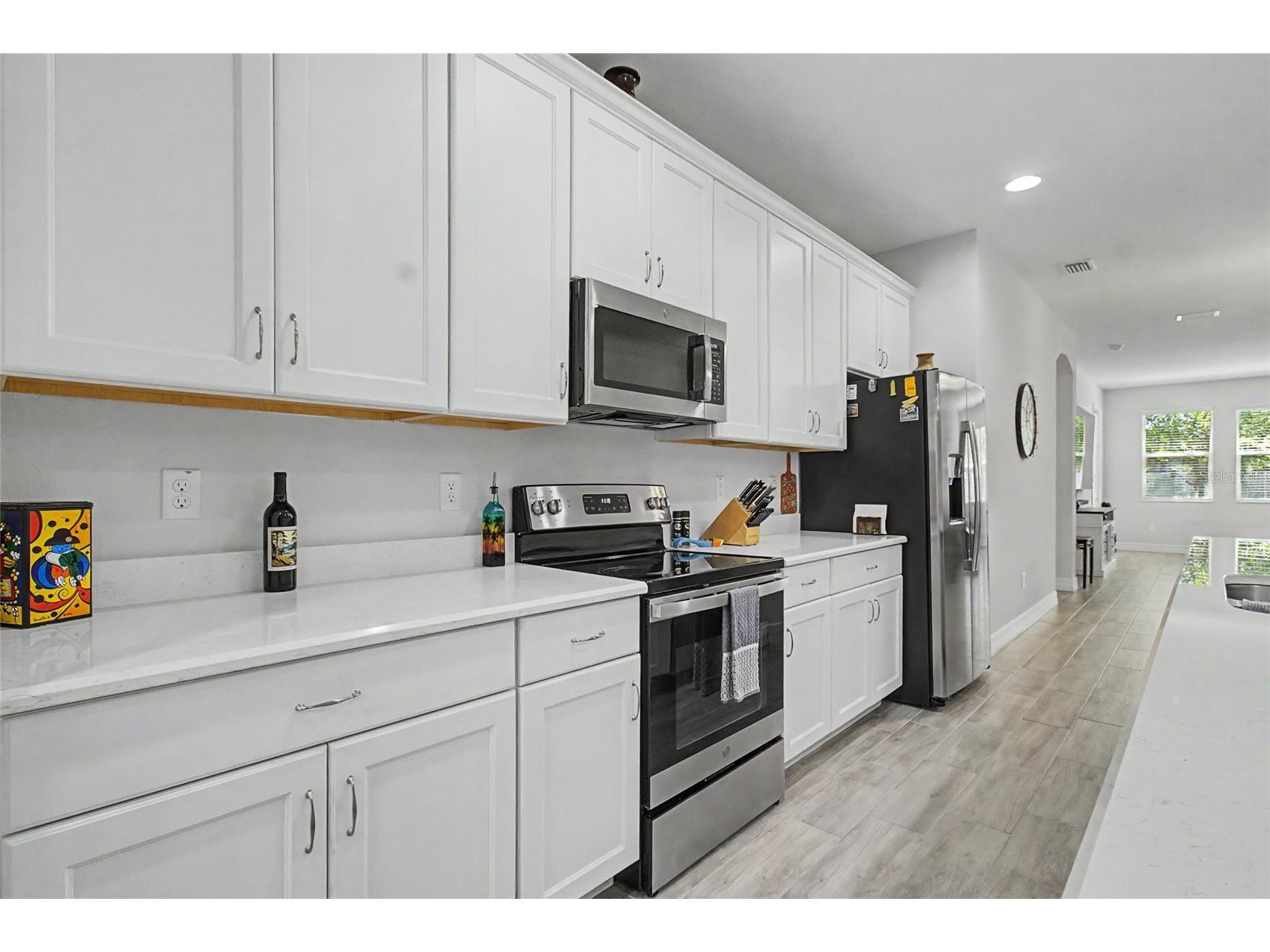 219 Villa Luna Lane Lutz FL 33549 TB8506310 image14