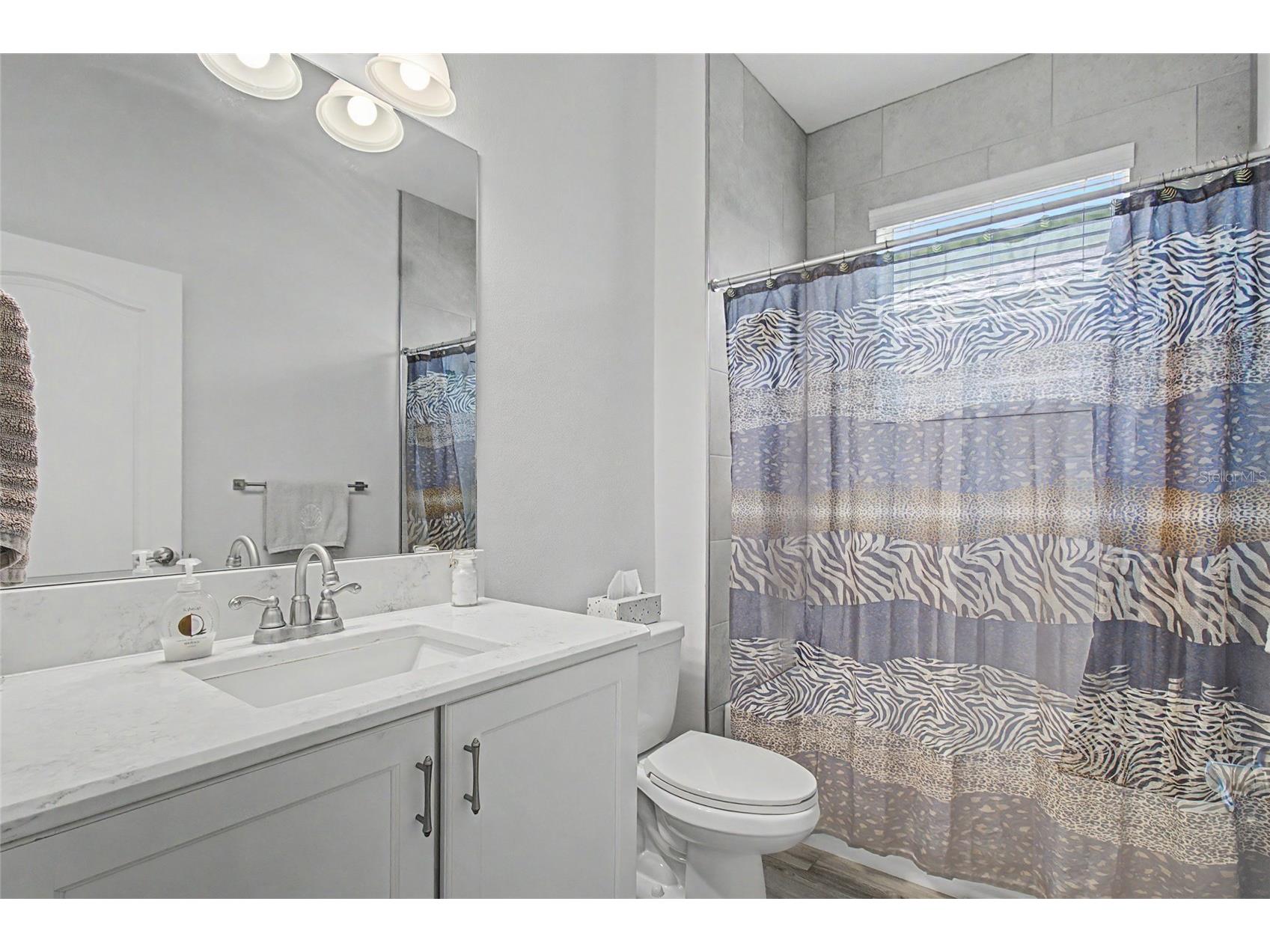 219 Villa Luna Lane Lutz FL 33549 TB8506310 image17