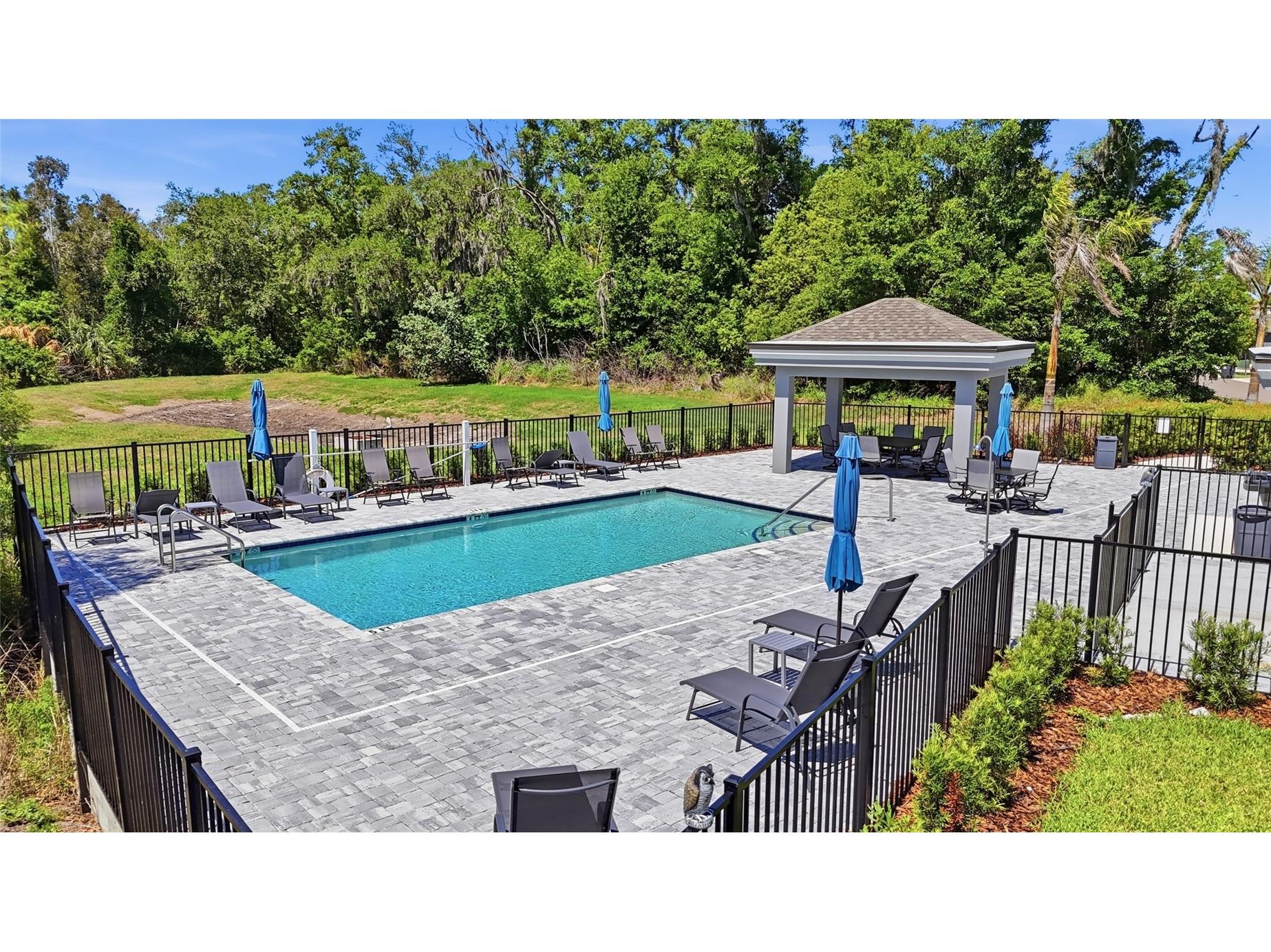 219 Villa Luna Lane Lutz FL 33549 TB8506310 image28