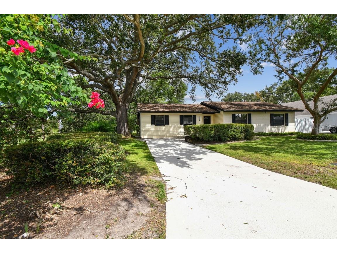 219 W 108th Avenue Tampa FL 33612 TB8429871 image4