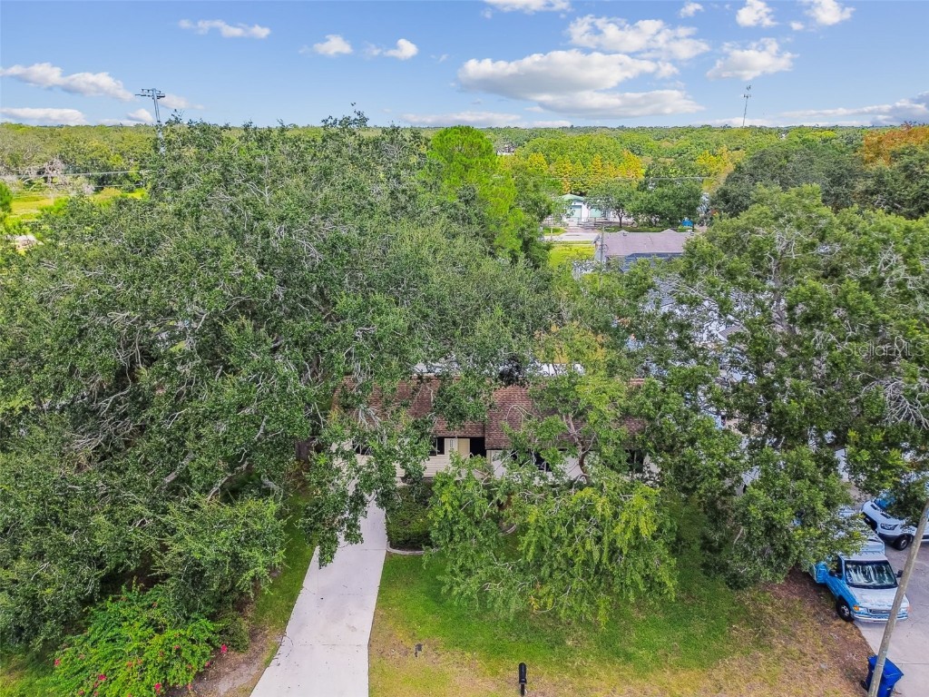 219 W 108th Avenue Tampa FL 33612 TB8429871 image68