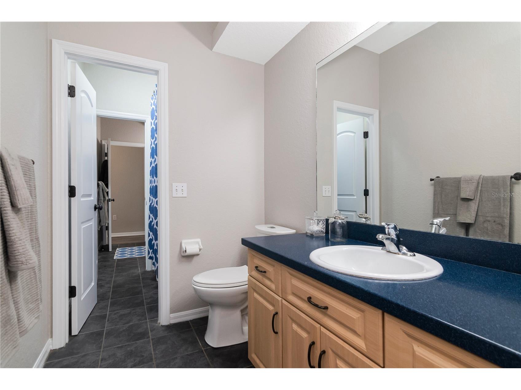 219 Willow Bend Parkway Lutz FL 33549 - LAKE KELL TB8519553 image23