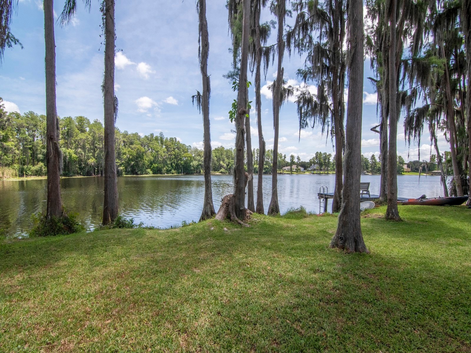 219 Willow Bend Parkway Lutz FL 33549 - LAKE KELL TB8519553 image35