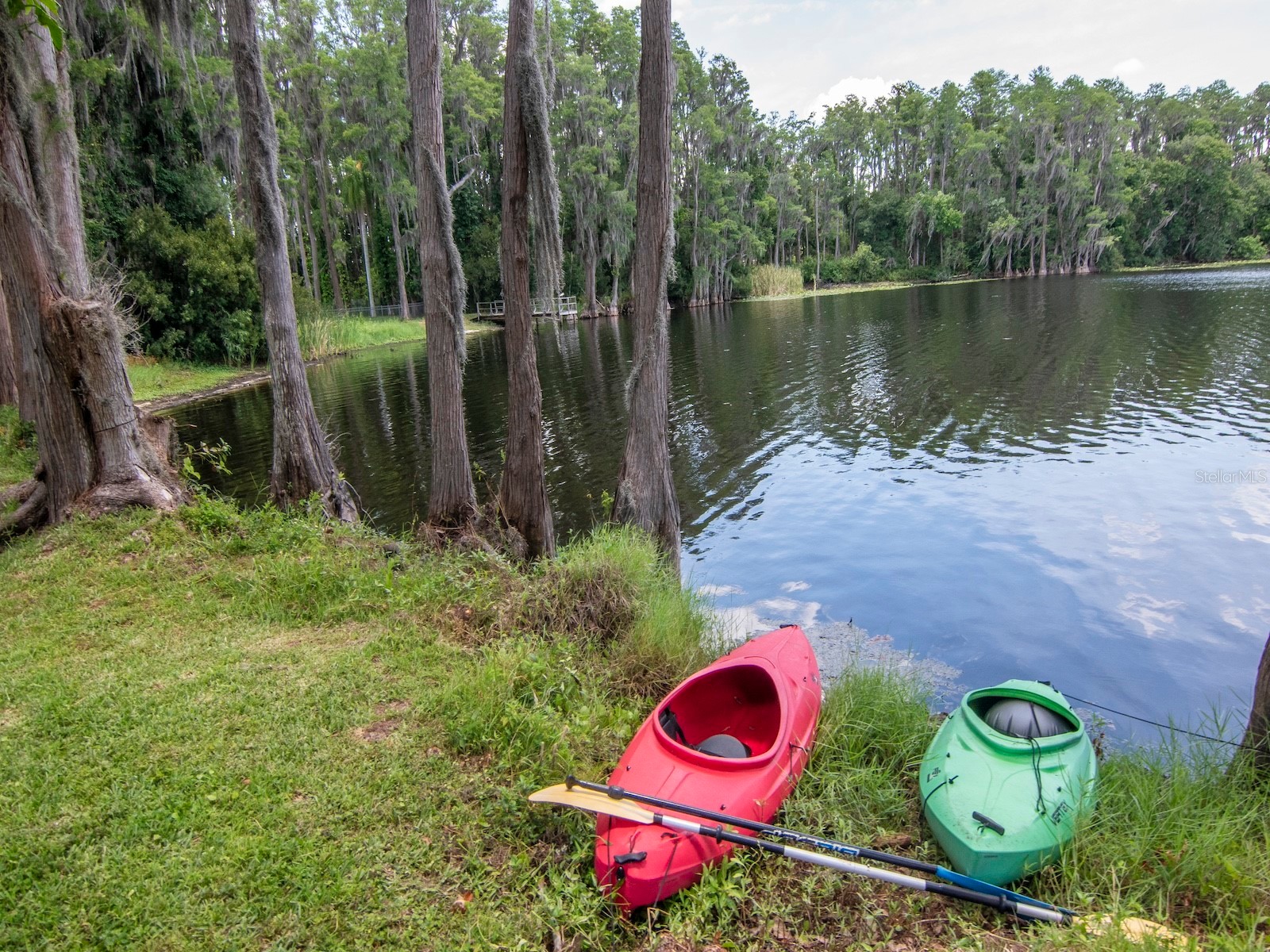 219 Willow Bend Parkway Lutz FL 33549 - LAKE KELL TB8519553 image36
