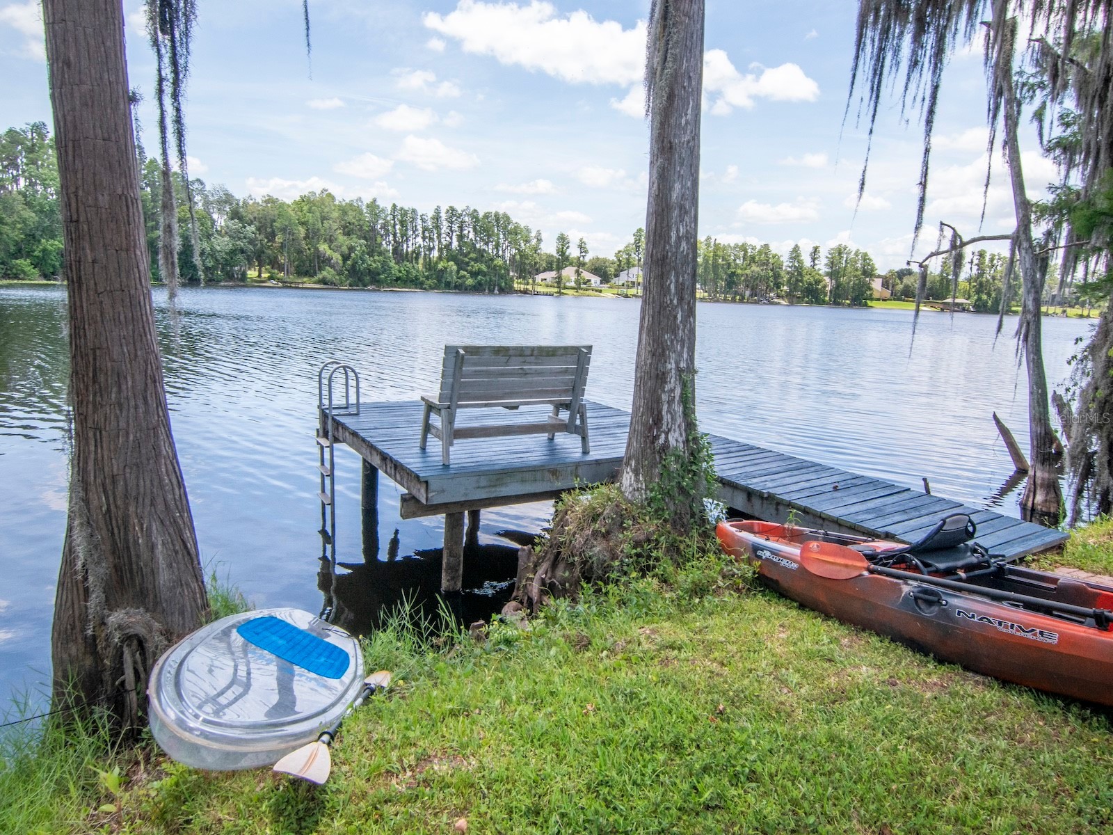 219 Willow Bend Parkway Lutz FL 33549 - LAKE KELL TB8519553 image37