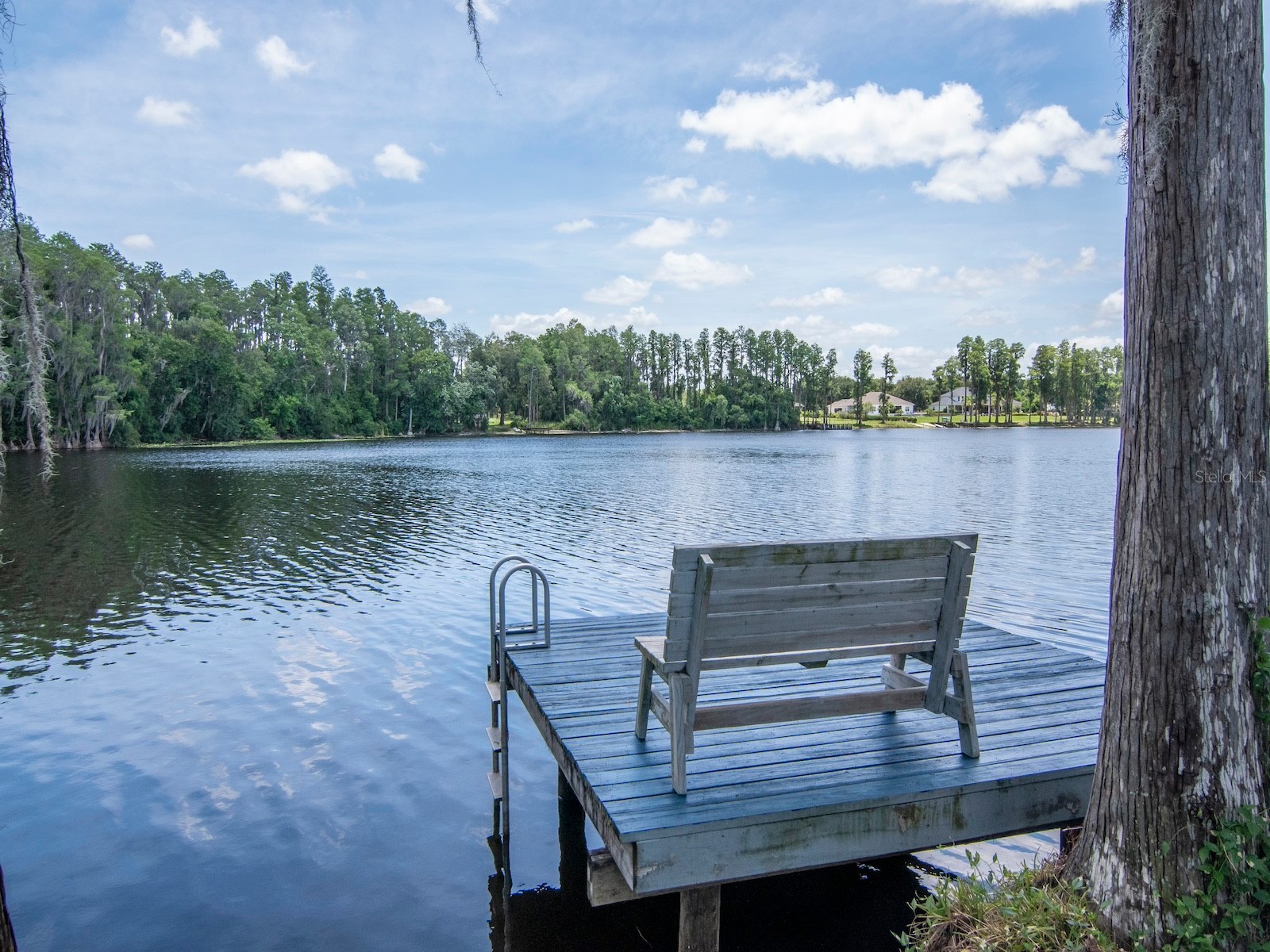 219 Willow Bend Parkway Lutz FL 33549 - LAKE KELL TB8519553 image38
