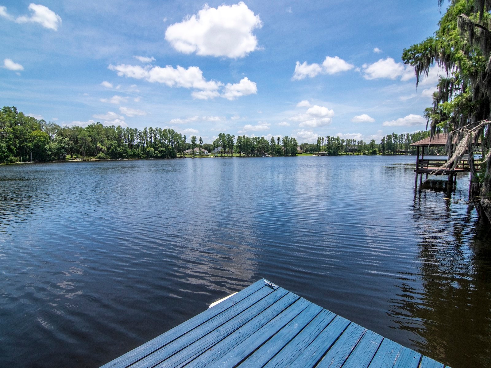 219 Willow Bend Parkway Lutz FL 33549 - LAKE KELL TB8519553 image40