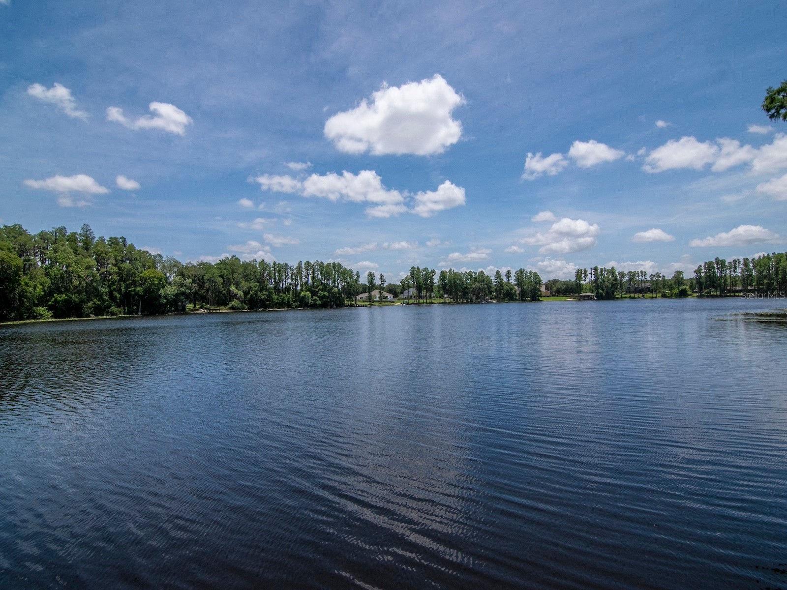 219 Willow Bend Parkway Lutz FL 33549 - LAKE KELL TB8519553 image41
