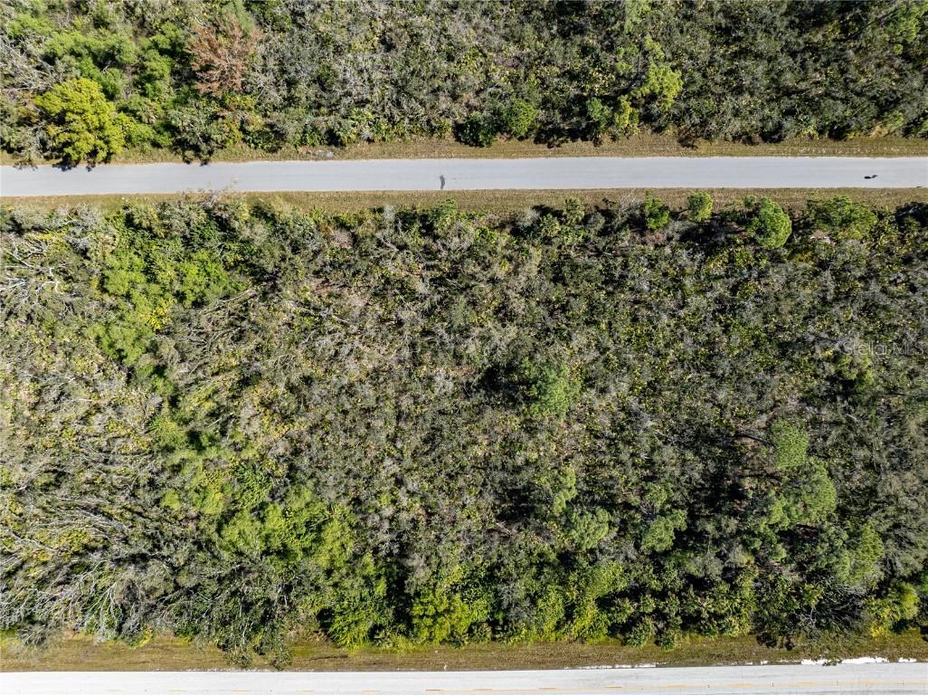 2190 Cornelius Boulevard Port Charlotte FL 33953 N6132324 image5