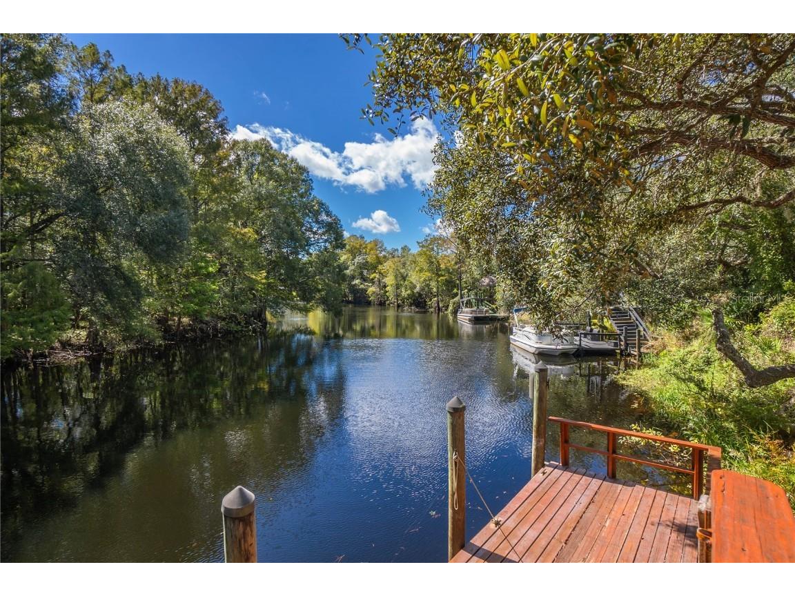 2190 E Shoshoni Court Dunnellon FL 34434 - WITHLACOOCHEE RIVER OM666866 image1