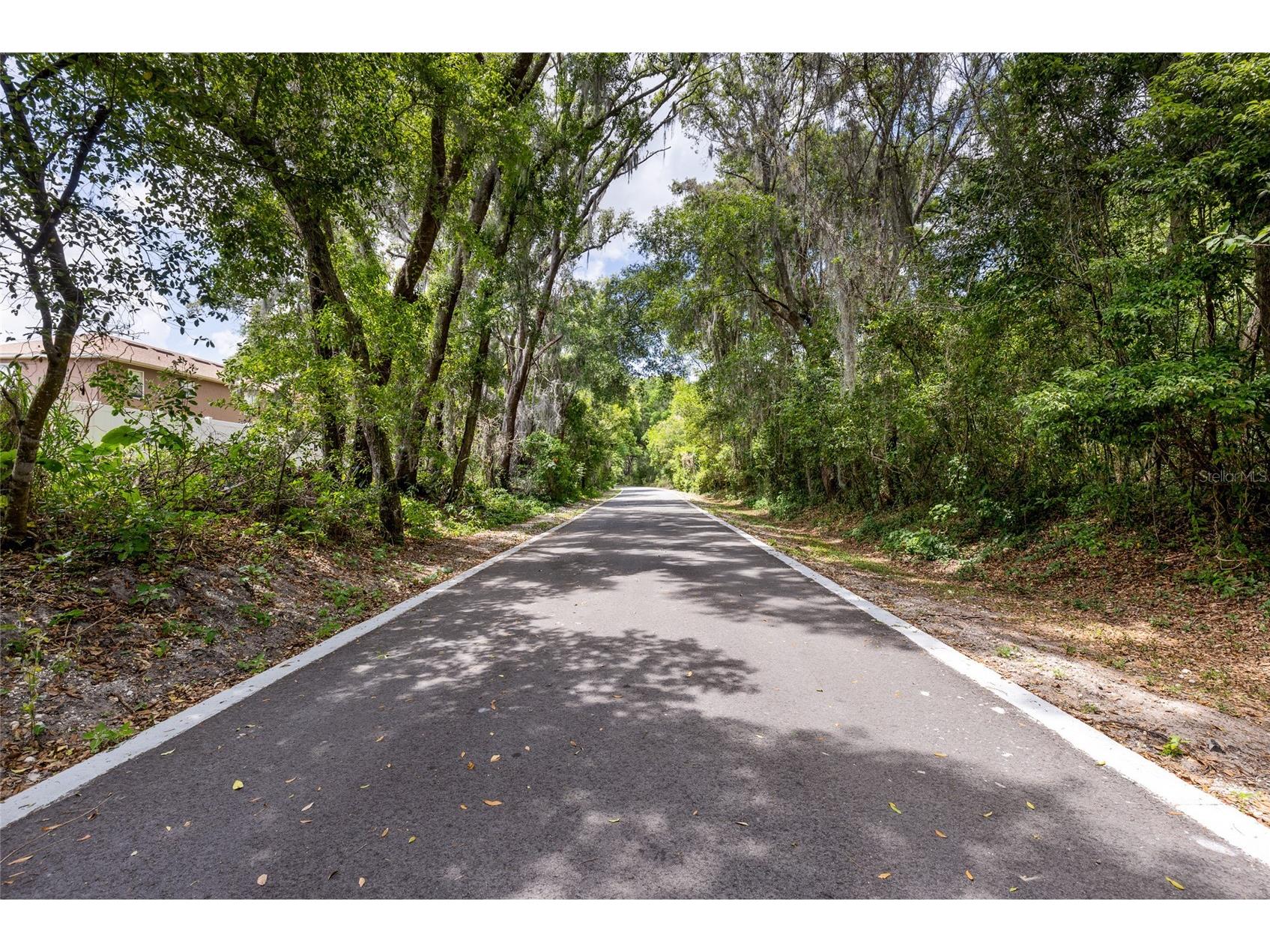 2190 Laurel Blossom Circle Ocoee FL 34761 O6401289 image46