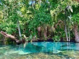 2190 W Landmark Drive Citrus Springs FL 34434 OM708635 image14