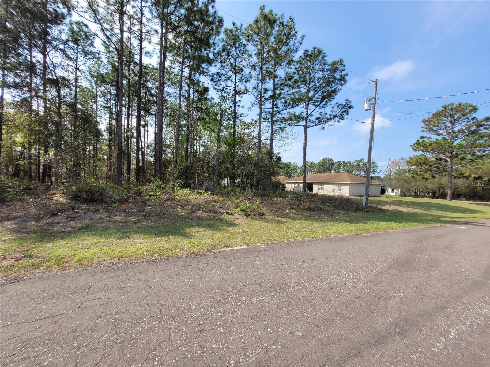 2190 W Tacoma Drive Citrus Springs FL 34434 OM706180 image1