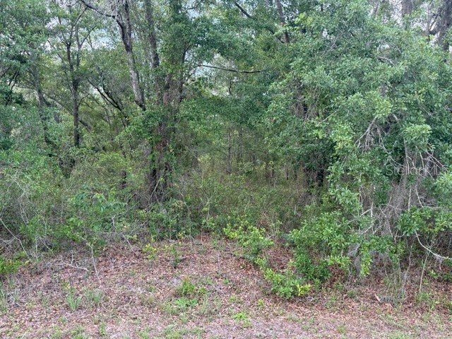 21902 NE 69th Place Melrose FL 32666 GC540626 image1
