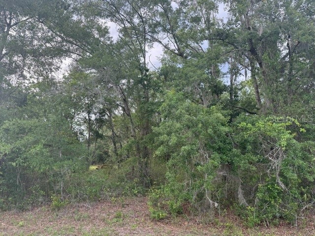 21902 NE 69th Place Melrose FL 32666 GC540626 image2