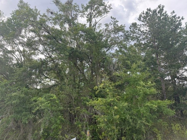 21902 NE 69th Place Melrose FL 32666 GC540626 image3