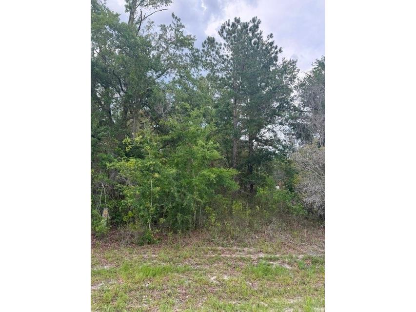 21902 NE 69th Place Melrose FL 32666 GC540626 image4
