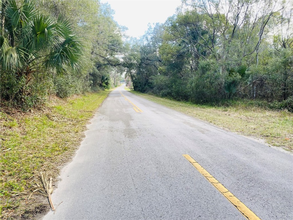 2191 Brown Lee Road Seville FL 32190 V4934253 image1