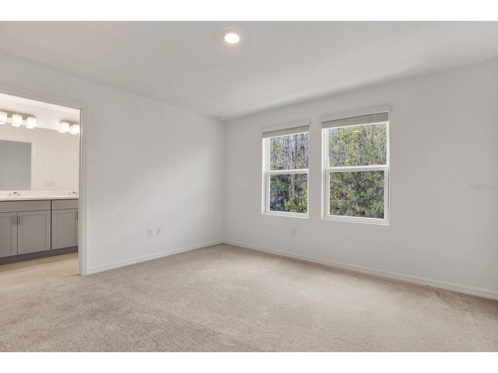 2191 Hallier Cove Wesley Chapel FL 33543 TB8512971 image23