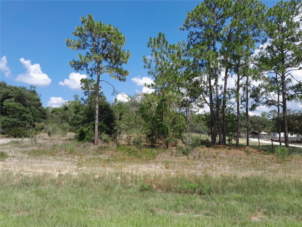 2191 SE State Road 121 Morriston FL 32668 OM661327 image1