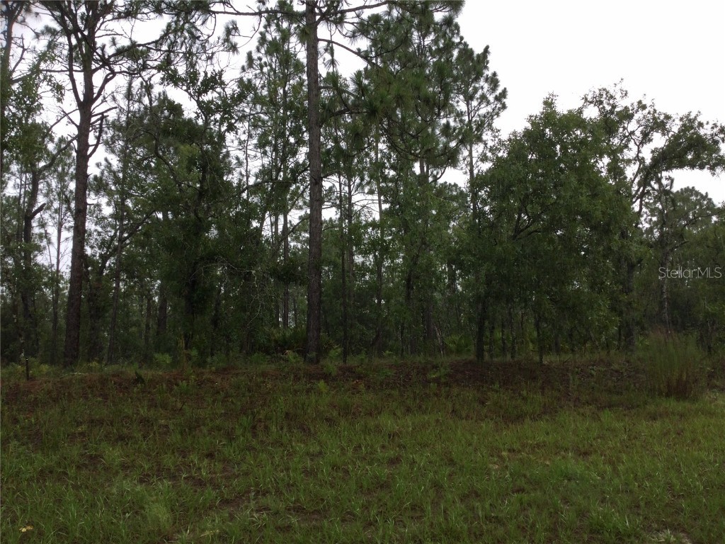 2191 W Citrus Springs Boulevard Dunnellon FL 34434 W7866380 image2