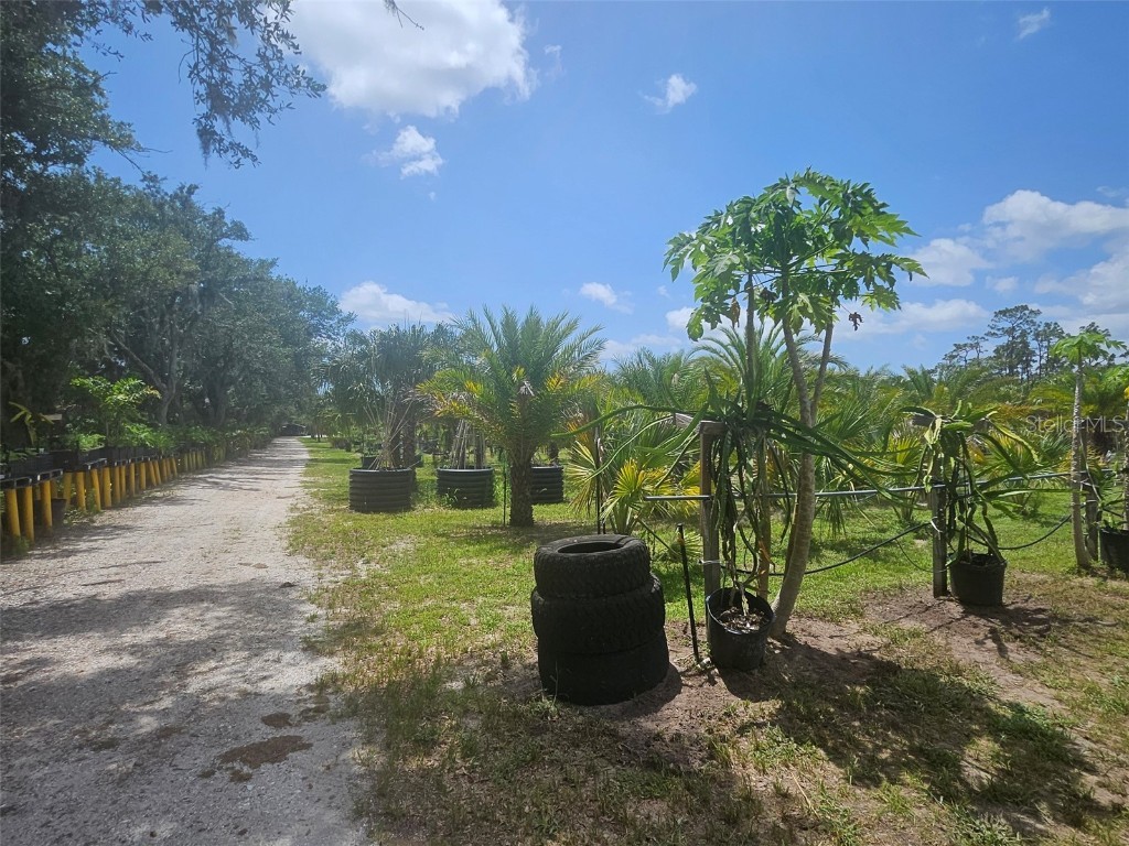 21910 Taylor Drive Bradenton FL 34211 S5138834 image11