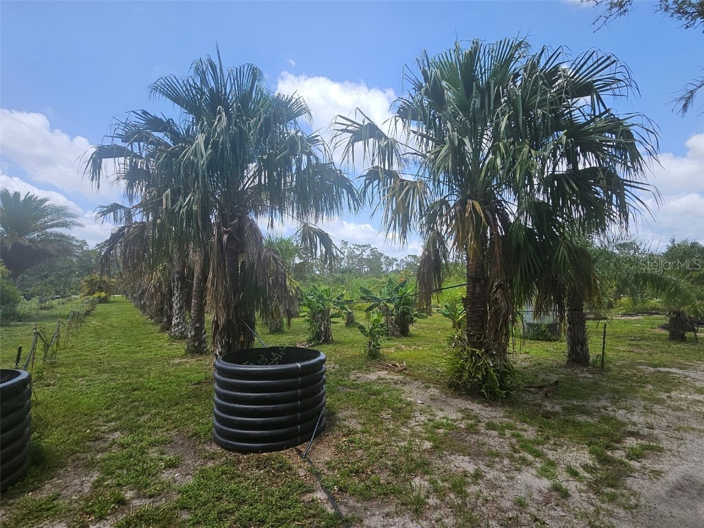 21910 Taylor Drive Bradenton FL 34211 S5138834 image13