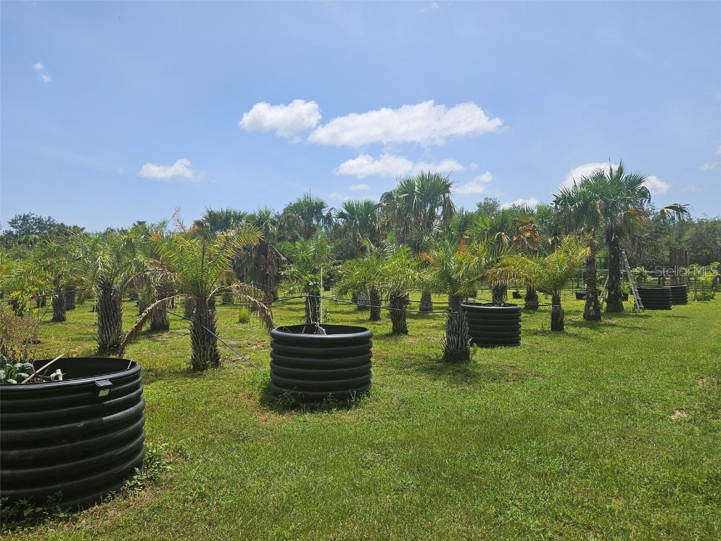 21910 Taylor Drive Bradenton FL 34211 S5138834 image5