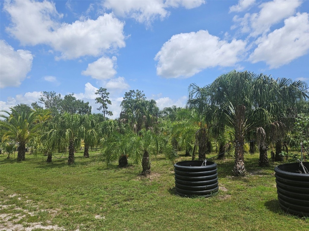 21910 Taylor Drive Bradenton FL 34211 S5138834 image6