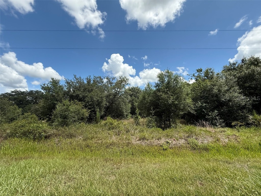 21917 NW 258th Street Okeechobee FL 34972 OK225339 image1