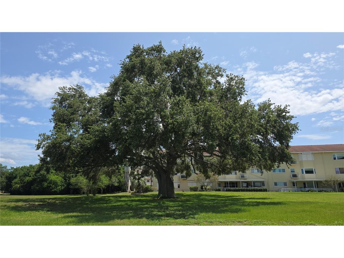2192 Swedish Drive #10 Clearwater FL 33763 TB8393079 image34