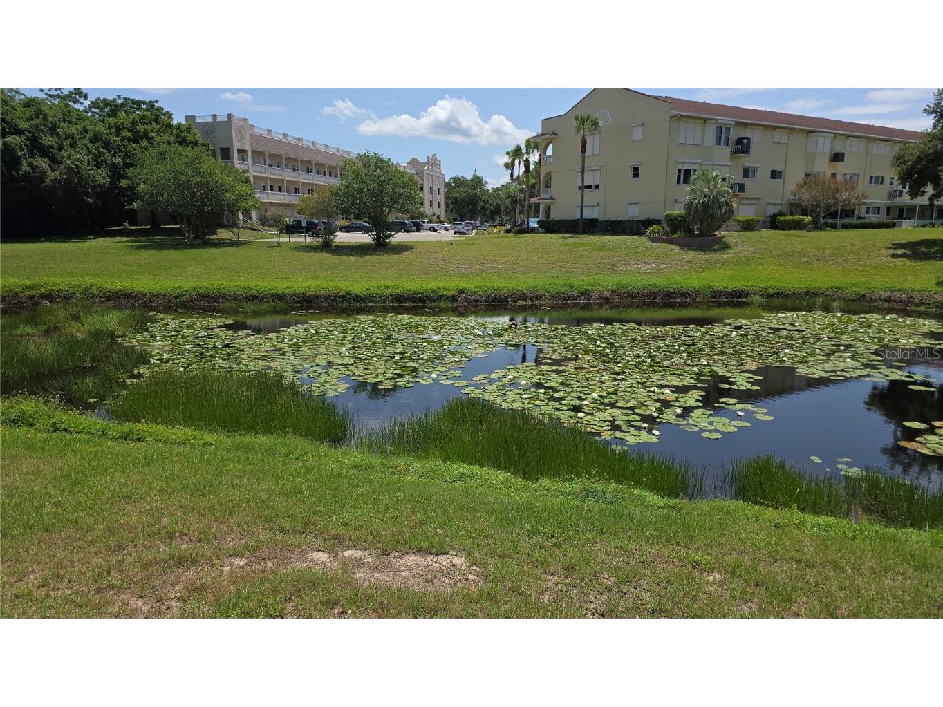 2192 Swedish Drive #10 Clearwater FL 33763 TB8393079 image35