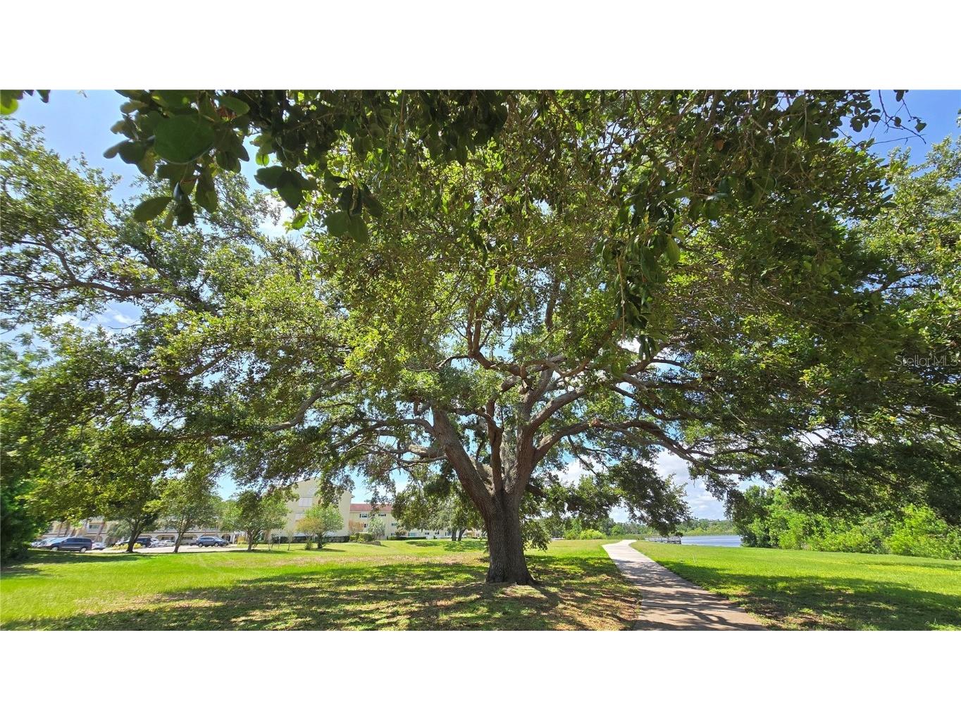 2192 Swedish Drive #10 Clearwater FL 33763 TB8393079 image36