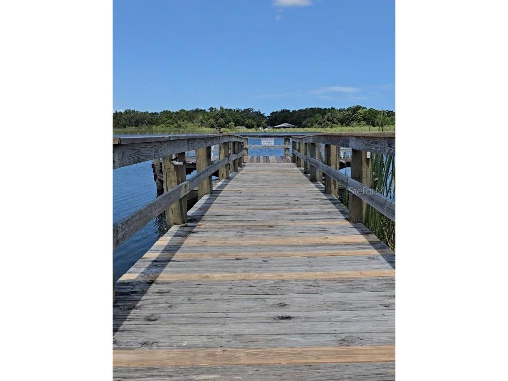 2192 Swedish Drive #10 Clearwater FL 33763 TB8393079 image37