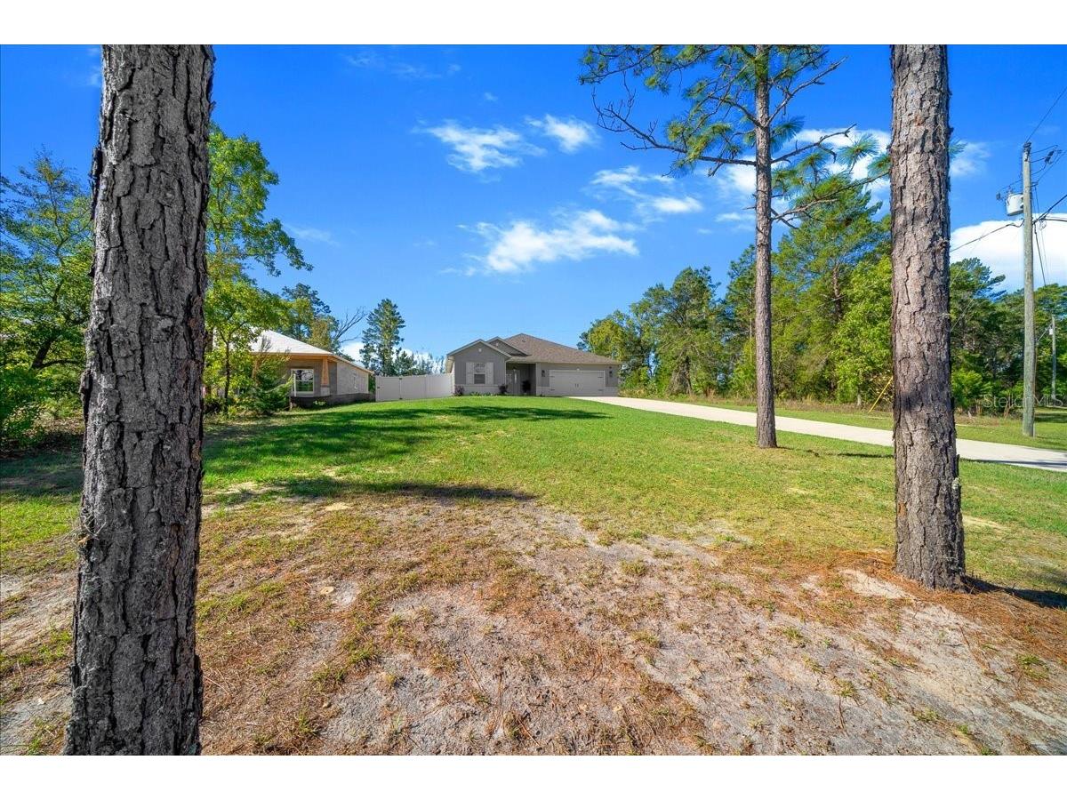 2192 W Riley Drive Citrus Springs FL 34434 O6400398 image46