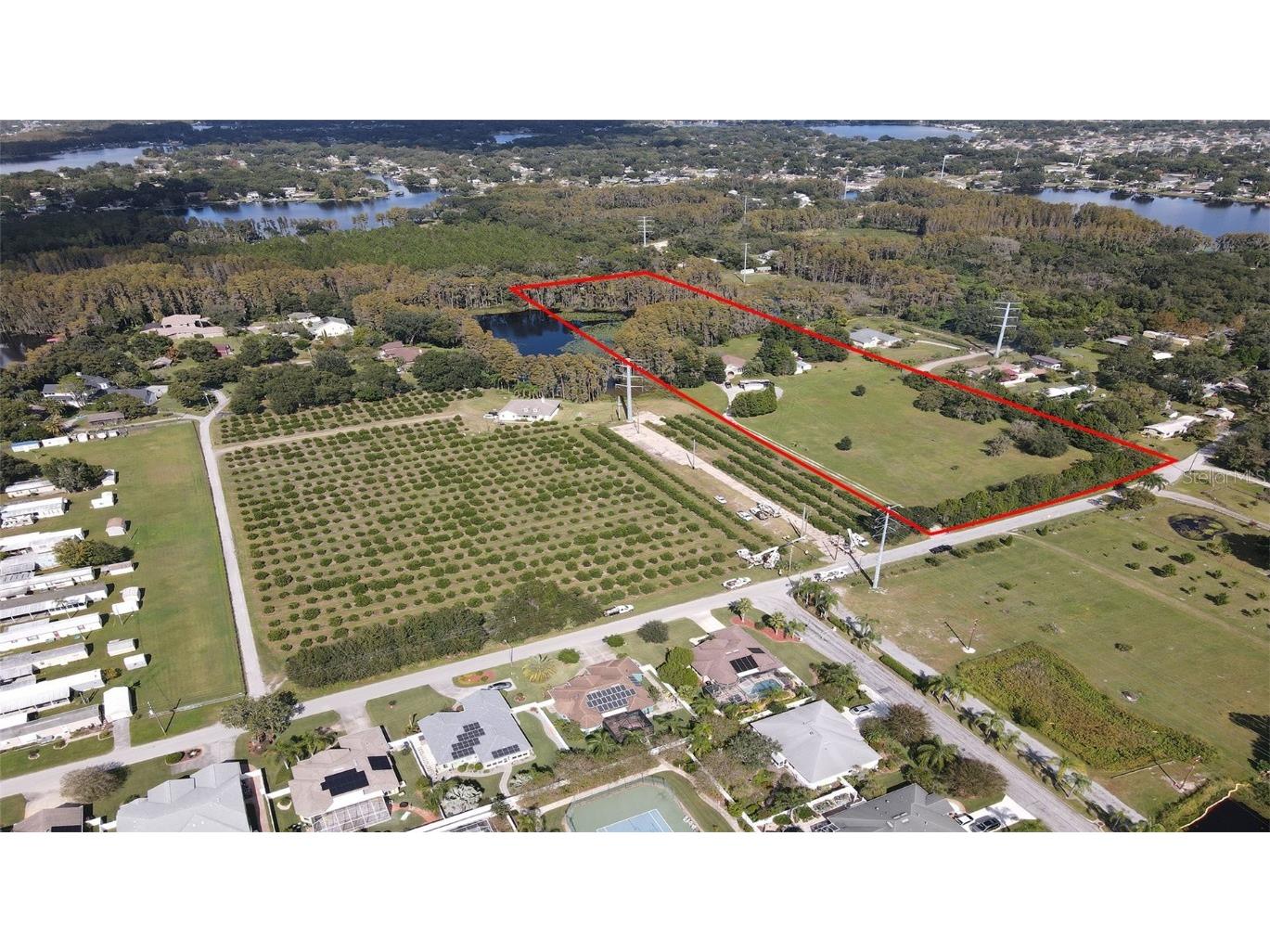 21921 Carson Drive Land O Lakes FL 34639 U8153581 image1