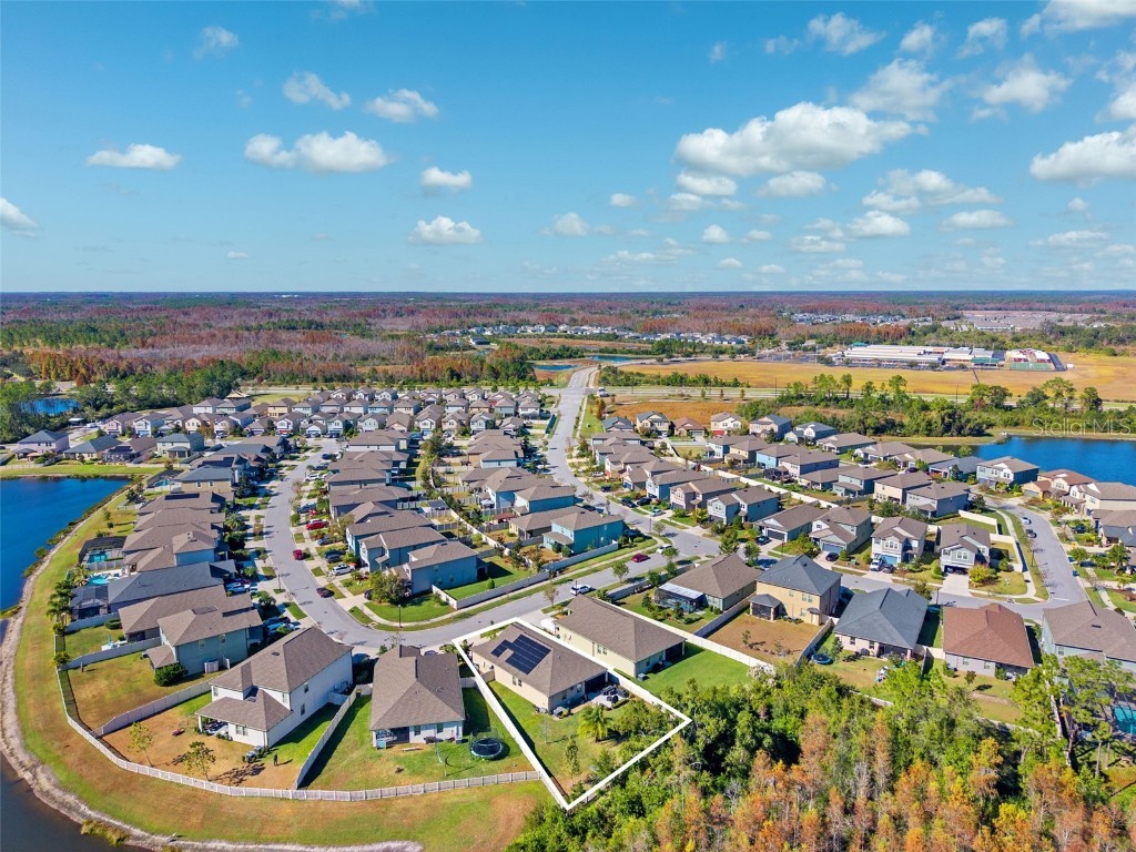 21922 Crest Meadow Drive Land O Lakes FL 34637 TB8454539 image38