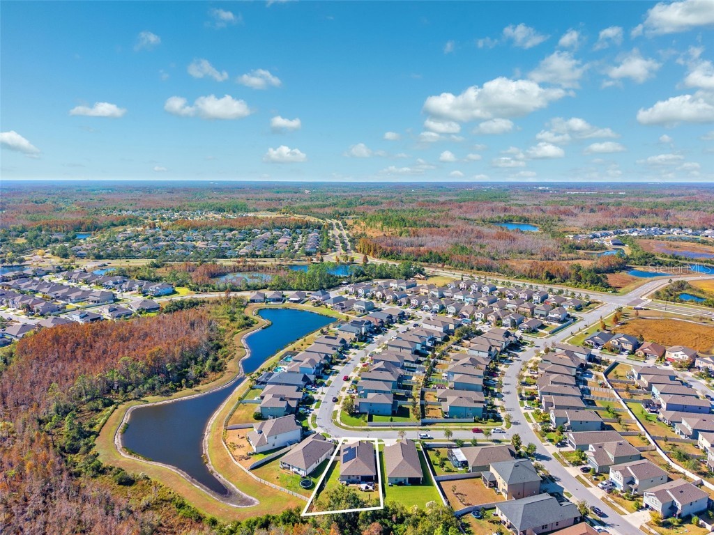 21922 Crest Meadow Drive Land O Lakes FL 34637 TB8454539 image39