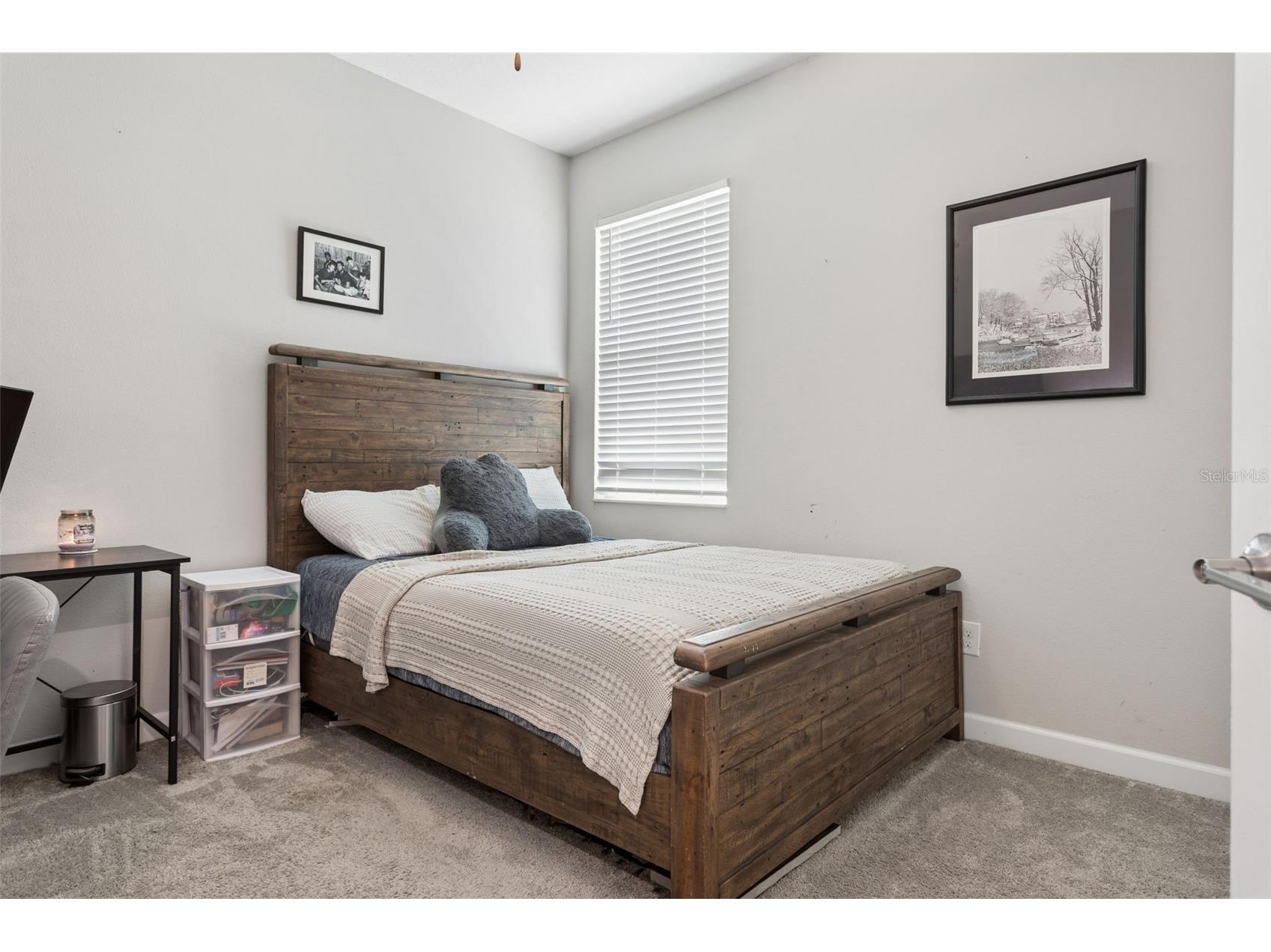 21922 Crest Meadow Drive Land O Lakes FL 34637 TB8493545 image11