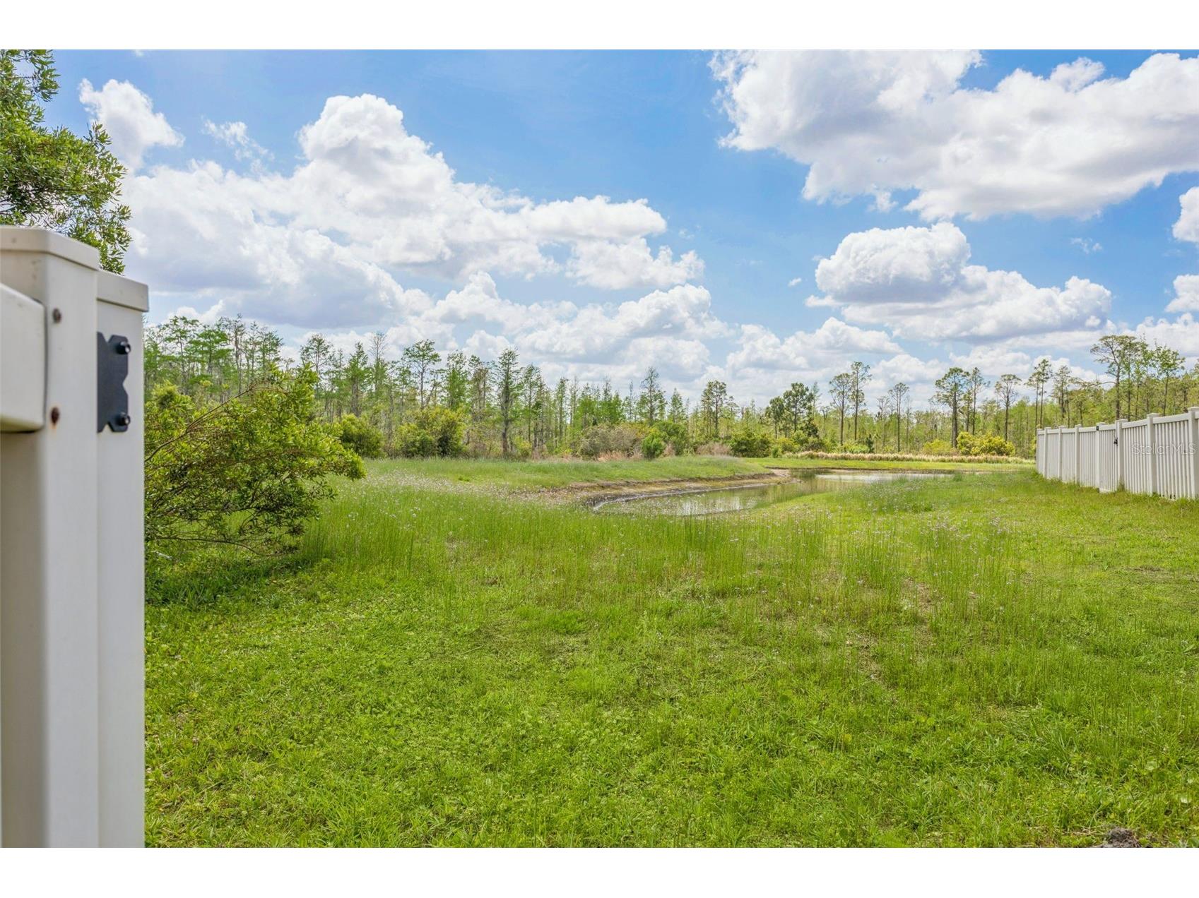 21922 Crest Meadow Drive Land O Lakes FL 34637 TB8493545 image26
