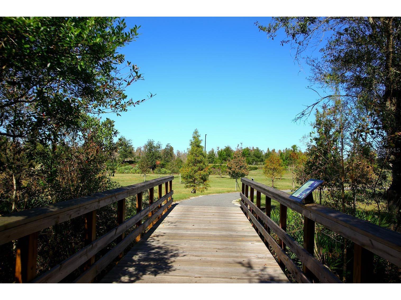 21922 Crest Meadow Drive Land O Lakes FL 34637 TB8493545 image37