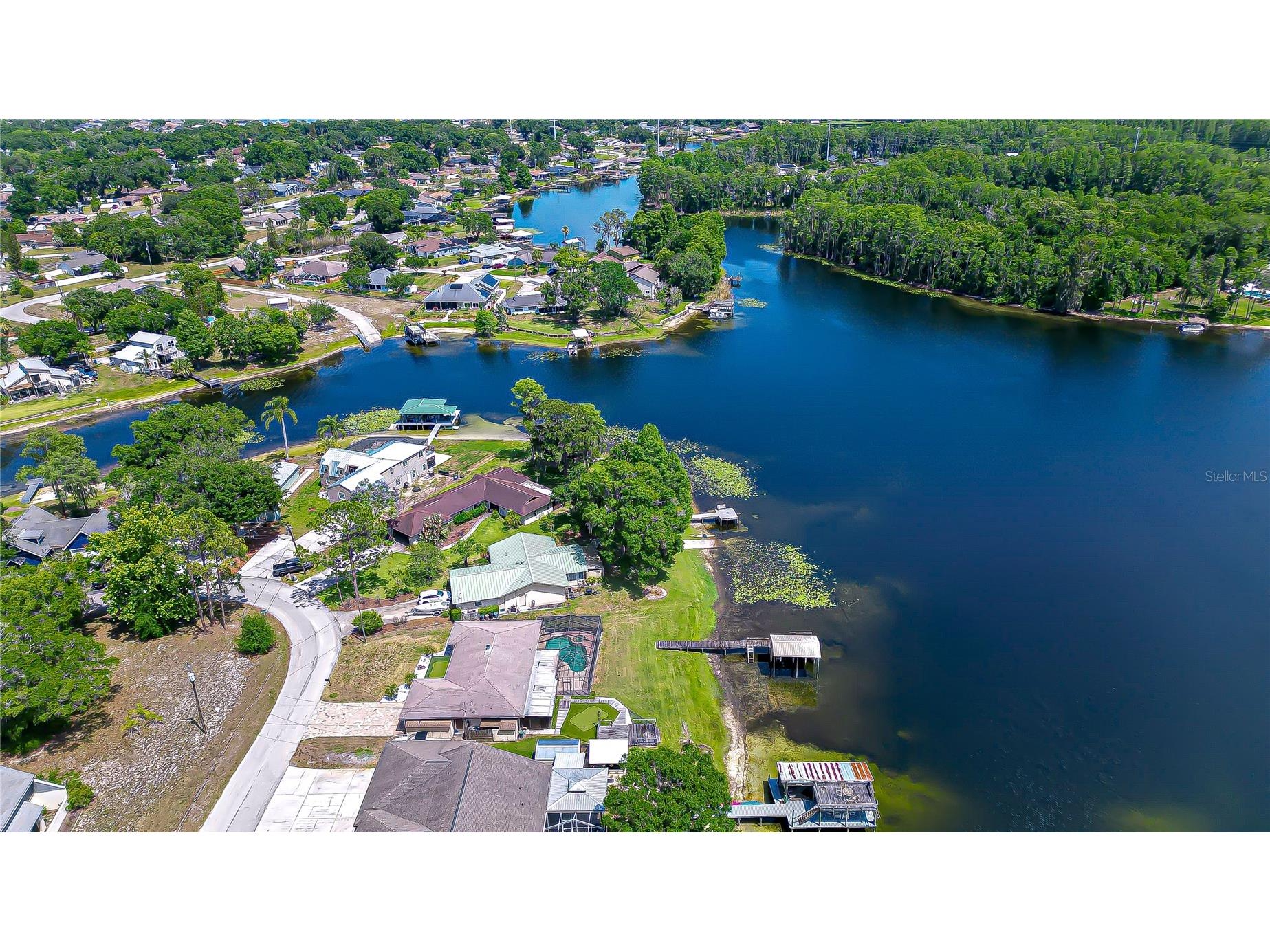 21924 Ocean Pines Drive Land O Lakes FL 34639 - LAKE SAXON TB8495585 image2