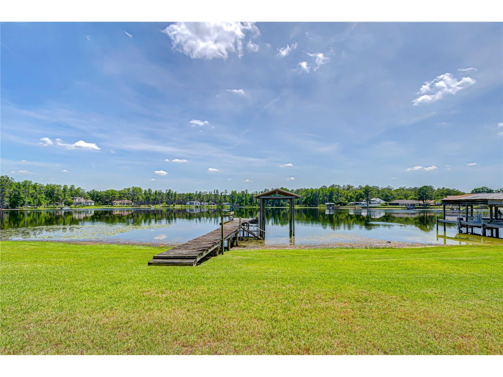 21924 Ocean Pines Drive Land O Lakes FL 34639 - LAKE SAXON TB8495585 image3