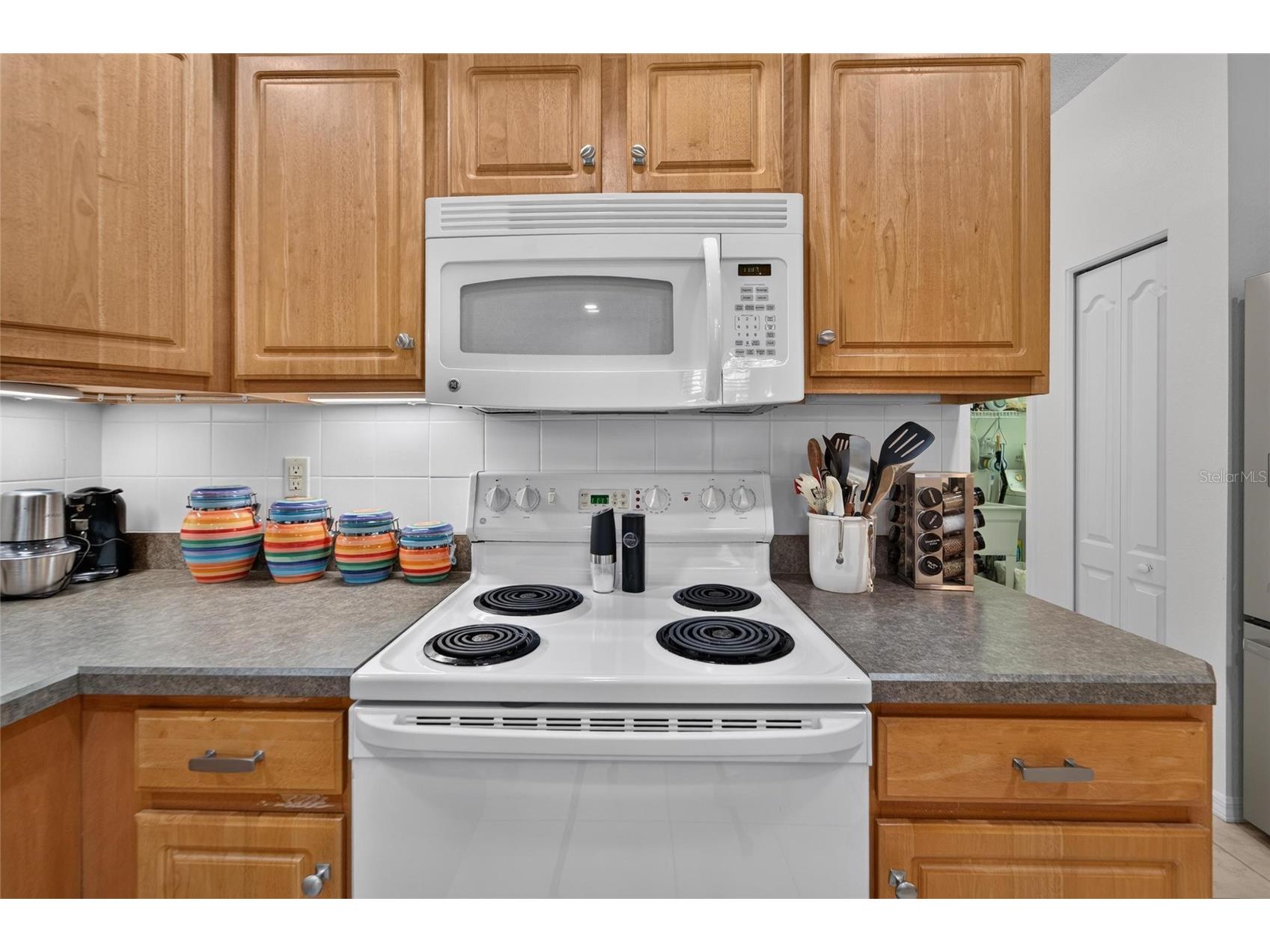 2193 Acadia Greens Drive #1 Sun City Center FL 33573 TB8528149 image50