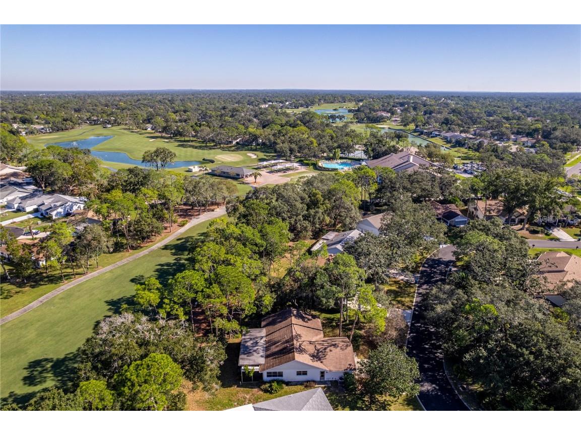 2193 Timber Lodge Lane Spring Hill FL 34606 W7880432 image14