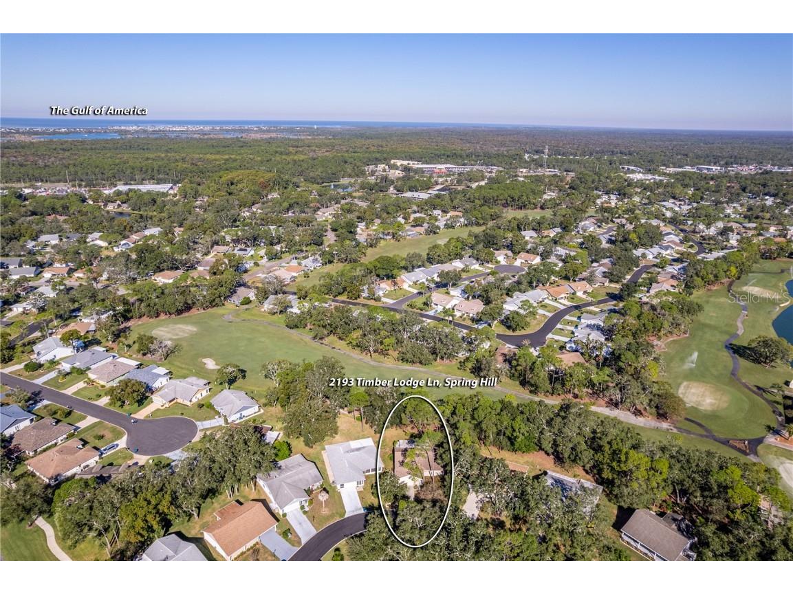 2193 Timber Lodge Lane Spring Hill FL 34606 W7880432 image28