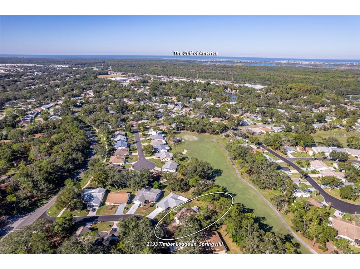 2193 Timber Lodge Lane Spring Hill FL 34606 W7880432 image3