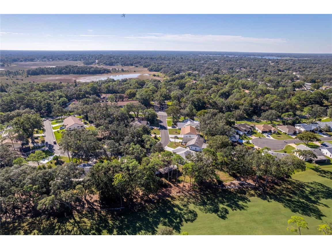 2193 Timber Lodge Lane Spring Hill FL 34606 W7880432 image39