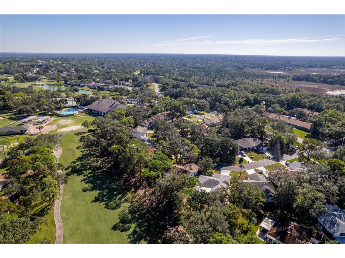 2193 Timber Lodge Lane Spring Hill FL 34606 W7880432 image43